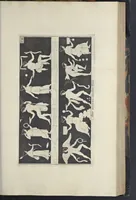 An illustration from Picturae Etruscorum in vasculis nunc primum in unum collectae explicationibus, et dissertationibus inlustratae (1767)