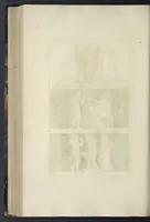 Picture 44 of 117 from Picturae Etruscorum in vasculis nunc primum in unum collectae explicationibus, et dissertationibus inlustratae (1767), leaf 259