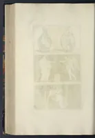 Picture 65 of 116 from Picturae Etruscorum in vasculis nunc primum in unum collectae explicationibus, et dissertationibus inlustratae (1767), leaf 293