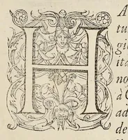 An illustration from Nova Stirpivm adversaria : perfacilis vestigatio, lvcvlentaquv accessio ad priscorum, praesertim Dioscoridis, & recentiorum, materiam medicam (1576)