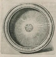 Picture 29 of 38 from Thesaurus Brandenburgicus selectus, sive, Gemmarum et numismatum Graecorum in cimeliarchio electorali Brandenburgico elegantiorum series (1696), leaf 464