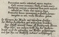 An illustration from Icones Biblicae Veteris et Novi Testamenti. Figuren Biblischer Historien Alten und Neuen Testaments (1679)