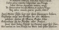 Picture 10 of 15 from Icones Biblicae Veteris et Novi Testamenti. Figuren Biblischer Historien Alten und Neuen Testaments (1679), leaf 338