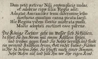 Picture 2 of 15 from Icones Biblicae Veteris et Novi Testamenti. Figuren Biblischer Historien Alten und Neuen Testaments (1679), leaf 96
