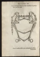 Picture 3 of 8 from L'ecvirie dv S. Federic Grison, gentilhomme napolitain : en laquelle est monstré l'ordre & l'art de choisir, dompter, piquer, dresser & manier les cheuaux, tant pour l'vsage de la guerre qu'autre commodité de lh́omme : auecques figures de diuerses sortes de mors de bride (1575), leaf 199