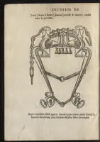 Picture 5 of 8 from L'ecvirie dv S. Federic Grison, gentilhomme napolitain : en laquelle est monstré l'ordre & l'art de choisir, dompter, piquer, dresser & manier les cheuaux, tant pour l'vsage de la guerre qu'autre commodité de lh́omme : auecques figures de diuerses sortes de mors de bride (1575), leaf 225