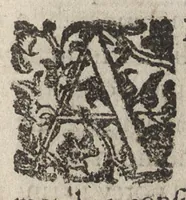An illustration from Le bellezze della città di Firenze : dove a pieno di pittura, di scultura, di sacri templi, di palazzi, i più notabili artifizj, e più preziosi si contengono (1677)