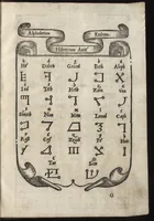 Picture 38 of 43 from Compendio del gran volvme de l'arte del bene et leggiadramente scrivere tvtte le sorti di lettere et caratteri : con le lor regole, misure, & essempi (1578), leaf 100