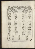 Picture 41 of 43 from Compendio del gran volvme de l'arte del bene et leggiadramente scrivere tvtte le sorti di lettere et caratteri : con le lor regole, misure, & essempi (1578), leaf 107
