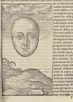 An illustration from Opera Ioan. Goropii Becani : hactenus in lucem non edita : nempe, Hermathena, Hieroglyphica, Vertvmnvs, Gallica, Francica, Hispanica (1580)
