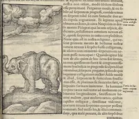 An illustration from Opera Ioan. Goropii Becani : hactenus in lucem non edita : nempe, Hermathena, Hieroglyphica, Vertvmnvs, Gallica, Francica, Hispanica (1580)