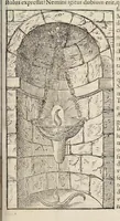 Picture 15 of 18 from Opera Ioan. Goropii Becani : hactenus in lucem non edita : nempe, Hermathena, Hieroglyphica, Vertvmnvs, Gallica, Francica, Hispanica (1580), leaf 530