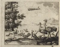 An illustration from Le miroir de l'art et de la nature : qui represente par des planches en taille douce presque tous les ouvrages de l'art & de la nature, des sciences & des métiers : en trois languages, françoise, latine, & allemande (1691)
