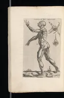 Picture 18 of 23 from Tables anatomiqves, avec les povrtraicts et declaration d'iceulx : ensemble vn denombrement de cinq cens maladies diuerses ... (1586), leaf 103