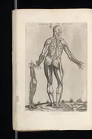 Picture 20 of 23 from Tables anatomiqves, avec les povrtraicts et declaration d'iceulx : ensemble vn denombrement de cinq cens maladies diuerses ... (1586), leaf 107