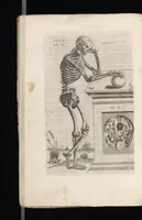 Picture 4 of 23 from Tables anatomiqves, avec les povrtraicts et declaration d'iceulx : ensemble vn denombrement de cinq cens maladies diuerses ... (1586), leaf 37