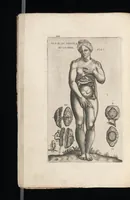 An illustration from Tables anatomiqves, avec les povrtraicts et declaration d'iceulx : ensemble vn denombrement de cinq cens maladies diuerses ... (1586)