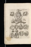 Picture 11 of 23 from Tables anatomiqves, avec les povrtraicts et declaration d'iceulx : ensemble vn denombrement de cinq cens maladies diuerses ... (1586), leaf 67