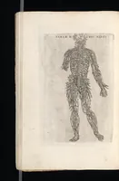 Picture 16 of 23 from Tables anatomiqves, avec les povrtraicts et declaration d'iceulx : ensemble vn denombrement de cinq cens maladies diuerses ... (1586), leaf 89
