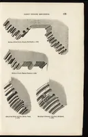 Picture 122 of 323 from An attempt to discriminate the styles of architecture in England : from the Conquest to the Reformation ; with a sketch of the Grecian and Roman orders /by the late Thomas Rickman (1881), leaf 172