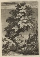 Picture 22 of 24 from Grondige onderrichtinge in de optica, ofte, Perspective konste (1647), leaf 98