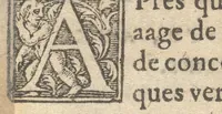 An illustration from Le catalogve des villes et citez assises es trois Gavles : auec le bastiment, erection, & fondation d'icelles : plus vn traicté de la proprieté des bains, fleuues, & fontaines admirables (1575)