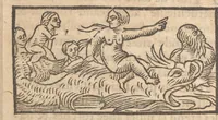 Picture 28 of 30 from Le catalogve des villes et citez assises es trois Gavles : auec le bastiment, erection, & fondation d'icelles : plus vn traicté de la proprieté des bains, fleuues, & fontaines admirables (1575), leaf 205