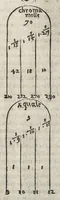 Picture 15 of 39 from I dieci libri dell'architettvra (1584), leaf 250