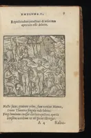 Picture 2 of 38 from Hadriani Iunii medici Emblemata : eiusdem ænigmatum libellus (1569), leaf 10