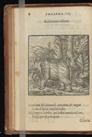 Picture 3 of 38 from Hadriani Iunii medici Emblemata : eiusdem ænigmatum libellus (1569), leaf 11