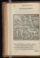 An illustration from Hadriani Iunii medici Emblemata : eiusdem ænigmatum libellus (1569)