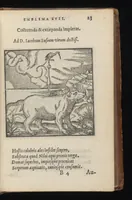 An illustration from Hadriani Iunii medici Emblemata : eiusdem ænigmatum libellus (1569)