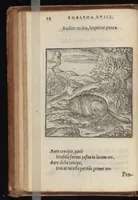 Picture 12 of 38 from Hadriani Iunii medici Emblemata : eiusdem ænigmatum libellus (1569), leaf 27