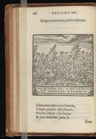 An illustration from Hadriani Iunii medici Emblemata : eiusdem ænigmatum libellus (1569)