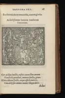 An illustration from Hadriani Iunii medici Emblemata : eiusdem ænigmatum libellus (1569)