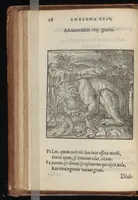 An illustration from Hadriani Iunii medici Emblemata : eiusdem ænigmatum libellus (1569)