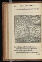 Picture 19 of 38 from Hadriani Iunii medici Emblemata : eiusdem ænigmatum libellus (1569), leaf 37