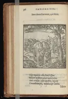 Picture 20 of 38 from Hadriani Iunii medici Emblemata : eiusdem ænigmatum libellus (1569), leaf 39