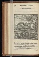 An illustration from Hadriani Iunii medici Emblemata : eiusdem ænigmatum libellus (1569)