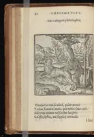 Picture 29 of 38 from Hadriani Iunii medici Emblemata : eiusdem ænigmatum libellus (1569), leaf 55
