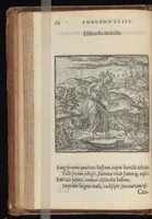 An illustration from Hadriani Iunii medici Emblemata : eiusdem ænigmatum libellus (1569)