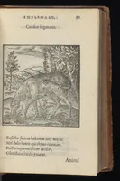 Picture 35 of 38 from Hadriani Iunii medici Emblemata : eiusdem ænigmatum libellus (1569), leaf 64