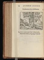 An illustration from Emblematvm clarissimi viri D. Andreæ Alcati [i.e. Alciati] libri II : additæ sunt aliquot in altero libro figuræ (1567)