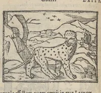 An illustration from Emblematvm clarissimi viri D. Andreæ Alcati [i.e. Alciati] libri II : additæ sunt aliquot in altero libro figuræ (1567)