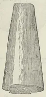 Picture 4 of 45 from Vlyssis Aldrouandi patricii Bononiensis Musaeum metallicum in libros IIII distributum (1648), leaf 103