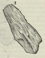 Picture 1 of 45 from Vlyssis Aldrouandi patricii Bononiensis Musaeum metallicum in libros IIII distributum (1648), leaf 35