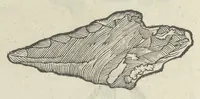 Picture 22 of 45 from Vlyssis Aldrouandi patricii Bononiensis Musaeum metallicum in libros IIII distributum (1648), leaf 621