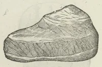 Picture 26 of 45 from Vlyssis Aldrouandi patricii Bononiensis Musaeum metallicum in libros IIII distributum (1648), leaf 757