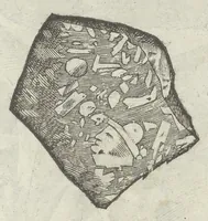 An illustration from Vlyssis Aldrouandi patricii Bononiensis Musaeum metallicum in libros IIII distributum (1648)