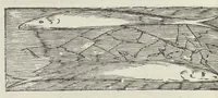 An illustration from Vlyssis Aldrouandi patricii Bononiensis Musaeum metallicum in libros IIII distributum (1648)